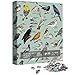 Bird Puzzle for Adults 1000 Pieces and Up, Backyard Birding Puzzle Collects 47 Backyard Birds of North America, Birds Theme Jigsaw Puzzles as Bird Lover Gifts