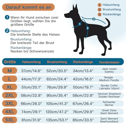 Katzinst Wintermantel Hund - Fleece Hundepullover Mittelgroße Hunde mit Leinenloch | Leichter Hundemantel mit Kapuze, Mantel für Hunde Winter, Französische Bulldogge, Grün (M)