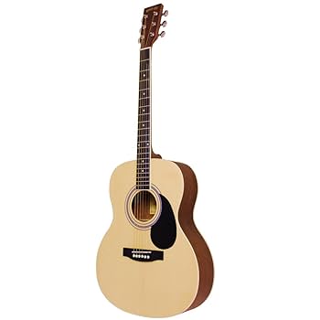 美品　HONEY BEE　F-15 / N　アコースティックギター 楽天市場】アコースティックギター HONEY BEE W-15/F-15 ソフト