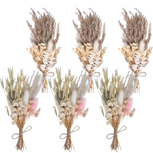 6 Paquetes Flores Secas Naturales Decorativas Flores Secas Mezcladas Ramos de Flor Seca Mini Flor Seca para DIY Foto Accesorios Jarrón Decoración del Hogar y Bodas (Estilo A)