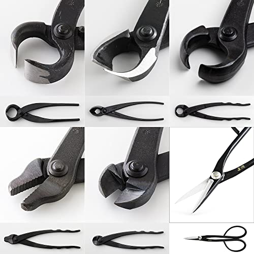 Wazakura Made In Japan 6Pcs Bonsai Professional Tool Kit With Roll Bag: Japanese Yasugi Steel Satsuki Bonsai Scissors, Concave Branch Cutter, Knob Cutter, Jin Plier, Wire Cutter, Root Cutter #TOP5