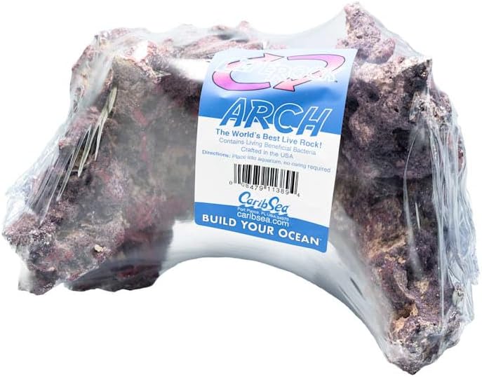 Carib Sea Life Rock Arch Medium