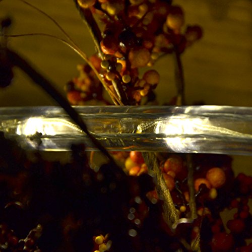Nipach GmbH 10m 240 LED Lichterschlauch Lichtschlauch warm-weiß – Innen- und Außenbereich – energiesparende Leucht-Dekoration für Garten Fest Weihnachten Hochzeit Gesamtlänge ca. 11,50 m – Bild 3