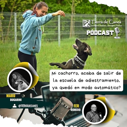 &ldquo;Mi cachorro acaba de salir de la escuela de adiestramiento&hellip; &iquest;ya qued&oacute; en modo autom&aacute;tico?&rdquo;