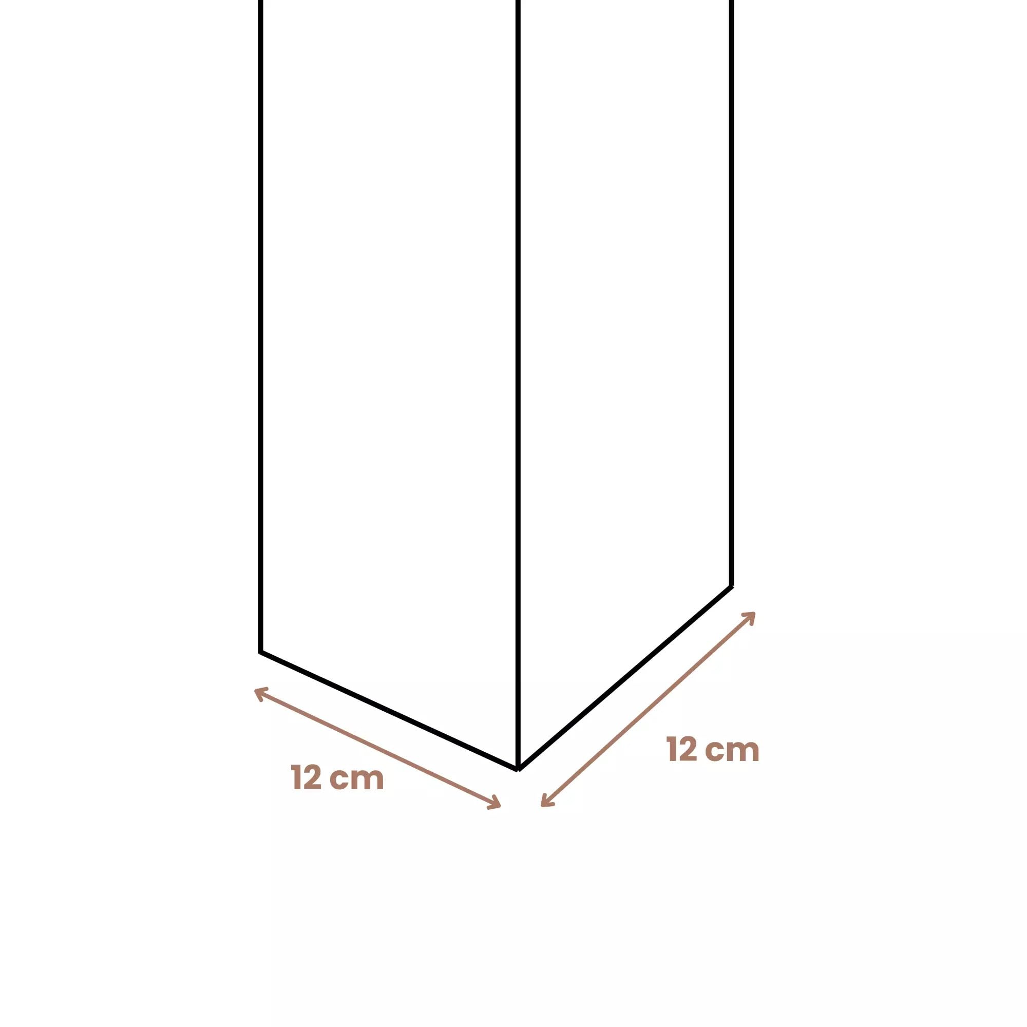 Forest Style - Cochera Doble Victor 30,9 m² (6,02 x 5,11 x 2,52 m) – Madera de Pino Tratada – Techo de Policarbonato – Aparcamiento Cubierto para 2 Coches – Estructura Robusta y Resistente