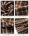 Scarf for Women - Premium Blanket Scarf for Women Winter, Cozy Fashion Scarves Winter Accessory 78.7