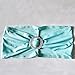 Gold Fortune 50PCS Spandex Chair Sashes Bows Elastic Chair Bands with Buckle Slider Sashes Bows for Wedding Decorations (Aqua)