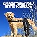 MewMewLand Dog Knee Braces for Pain CCL, ACL, Arthritis, Extra Support, Dog ACL Brace Hind Legs with Metal Side Stabilizers, Black Large