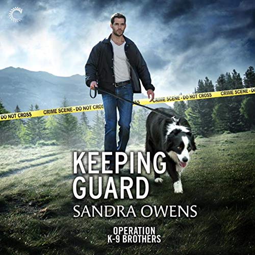 Cover art for Keeping Guard