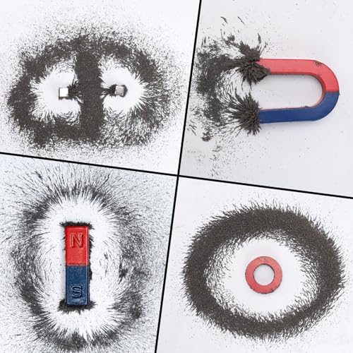 Iron Filings Powder,Magnetic Iron Powder,Suitable for STEM Education, Scientific Experiments, Creative Arts and School Projects.Lidded Storage jar, 18 Ounces (Particle Size: 60–100 mesh) (18 Ounces)