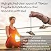 Tibetan Tingsha With Dragon Cymbal Bells with case | Handcrafted in Nepal Sound Healing Meditation bells 6.5 cm for Sound Healing and Mindfulness. Sound Healing Instrument for Yoga and Meditation