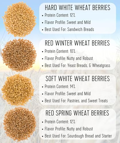 Certified Glyphosate Residue Free | Hard White Wheat Berries | 36 LBS | Family Farmed in Washington State | 100% Desiccant Free | Sproutable | Non-GMO Project Verified | Kosher | Poly Bag - Image 8