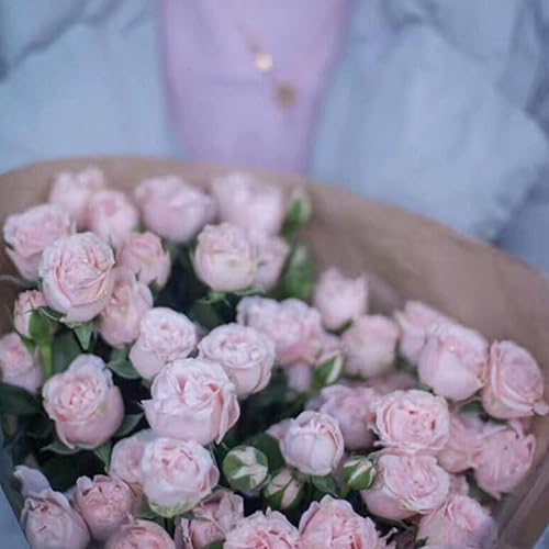 Miniatura 9 de 50 bolsas de papel kraft para ramo de flores, bolsas de papel de estraza con celofán transparente para graduación, boda, suministros de ramo de