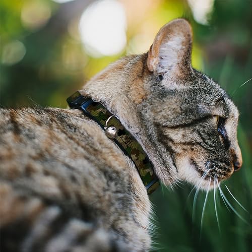 Collar de gato con hojas de camuflaje para explorar el jardín 3