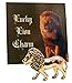 Westmon Works Lucky Lion Charm Legend Tiny Pocket Trinket Set for Good Luck with Brave and Courageous Includes Card