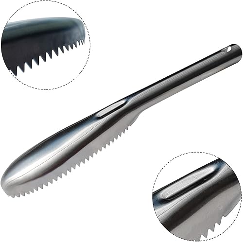 Miniatura 3 de Desincrustador de pescado, desincrustador de peces de acero inoxidable 304, herramienta descalcificadora de peces de dientes de sierra para cocina