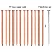 12 Pcs 4 Inch Long Copper Nails Spikes for Tree Killing, Stump Removal with 1 Pcs 4 Inch Steel Nails, for Landscaping & Gardening, Storage Box Included