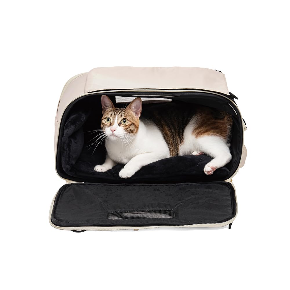 FikaGO Borsa da viaggio 3 in 1 per cani e gatti Truffle Plus - Zaino, Borsa a tracolla e bagaglio a mano (Creamy Cloud, L)