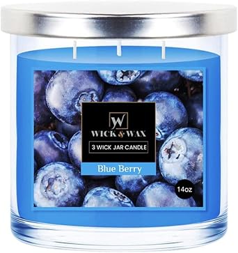 VeZees 3 Wick 14 oz Blueberry Scented Jar Candles by Wick & Wax, Lift Your Spirits with The Refreshing, Pleasant Fragrance1 Jar