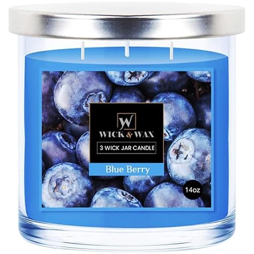 VeZee's 3 Wick 14 oz Blueberry Scented Jar Candles by