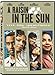 Produktbild A Raisin in the Sun [UK Import]