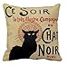 Produktbild Le Chat Noir Print Custom Zippered Pillow Cushion Case Throw Pillow Covers 18"x18" Twin Sides