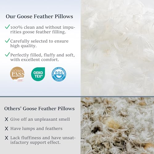 Image of COZSINOOR Goose Feather Pillows Queen Size Set of 2 - Hotel Down Bed Pillow for Sleeping, Soft 600 TC Cotton Cover, Fluffy Support Surround Fill Down Alternative for Back, Stomach, Side Sleepers