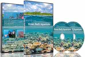 Amazon.com: Nature and Oceans Dvd - 2 DVD Set Ocean Reef