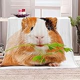 INSTRUCTIONS D'ENTRETIEN : Lavable en machine et à la main en dessous de 40°C. Séchage en machine à basse température. Ne pas repasser et ne pas nettoyer à sec. Ne pas blanchir