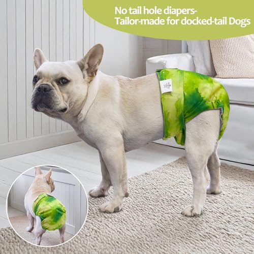 Image of CuteBone Washable Dog Diapers Female No Tail Hole 3 Pack Reusable Doggie Period Training Pants for Docked-Tail Frenchie French Bulldog Boston Terrier Without Tail WWD32M