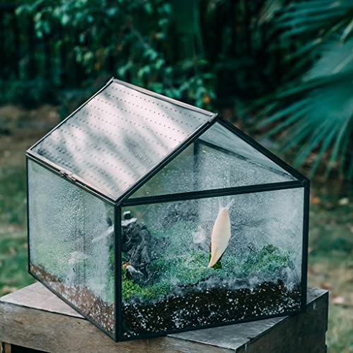 Ncyp 14Inches Large Black Geometric Brass Glass Terrarium Box With Swing Acrylic Lid, Handmade House Shape Tabletop Planter Pot For Succulent Plants (Terrarium Only) #TOP2