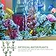 Aquarium Pflanzen Künstlich, 8 Stück Künstliches Aquarium Pflanzen Klein, 10 cm/3,94 Zoll, Aquarium Pflanzen Echt, Realistische Aquariumdekorationen