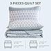 WONGS BEDDING Green Quilt Queen Size, Bohemian Stripe Quilt Sets 3 Pieces Boho Quilted Bedspread Set Lightweight Microfiber Coverlet Bedding Set All Season (96