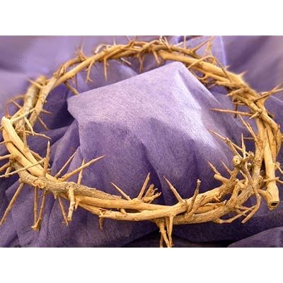 Passion of Christ Crown of ThornsAuthentic Crown of Thorns  in Gift Box with Description