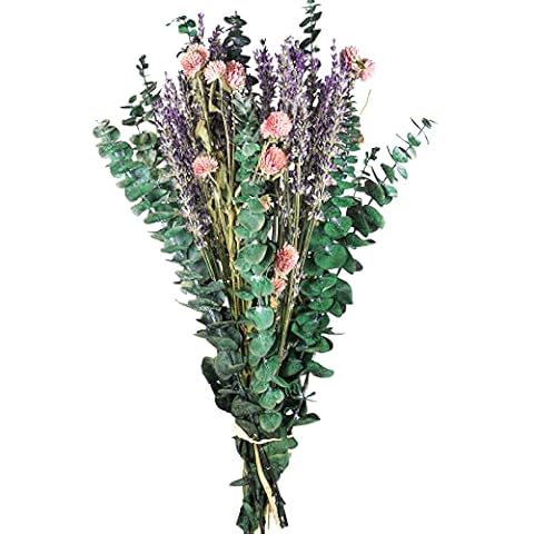 43 Pcs Dried Eucalyptus Stems & Lavender Flowers Bundle for Shower Natural Fresh Eucalyptus Leaves Hanging Eucalyptus Shower Plants for Home and Wedding Decorations Cover