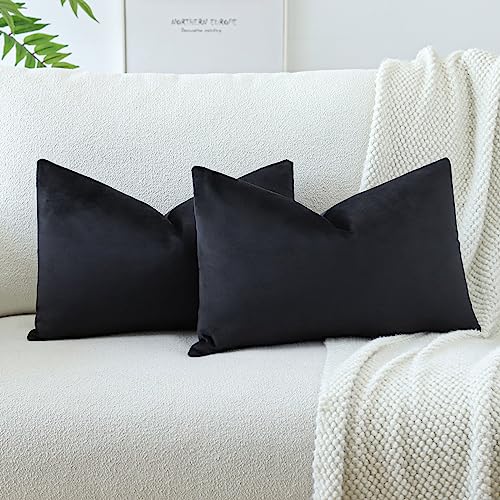 OTOSTAR Velvet Soft Solid Decorative Throw Pillow Covers 12 x 20 Inch Pillow Covers Lumbar Cushion Case Couch Pillowcases for Sofa Bed Home Decor Pack of 2 (Black)