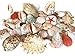 wattkiste MUSCHELMIX - Bellissime conchiglie decorative per decorare e fai da te, grandi conchiglie, 20 cm cestini di conchiglia