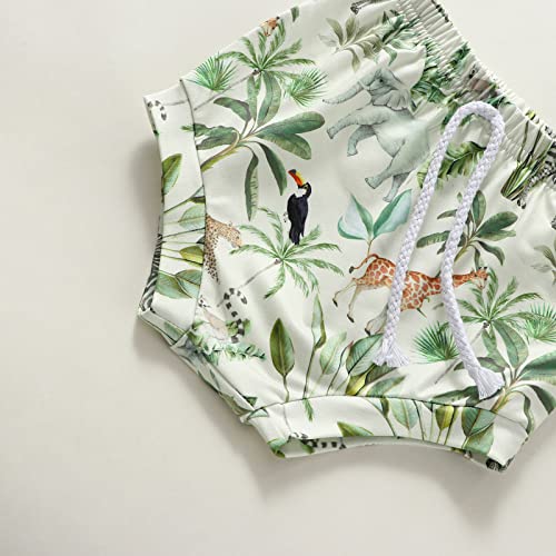 My First Birthday Baby Boy Girl Outfits Wild One Letter T Shirt Tops Animal Print Shorts 2Pcs Set Cake Smash Clothes (Green, 0-3 Months) #TOP6