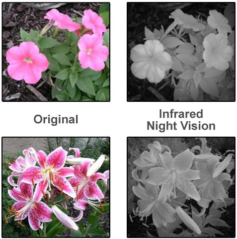 Comparison of original and infrared night vision images