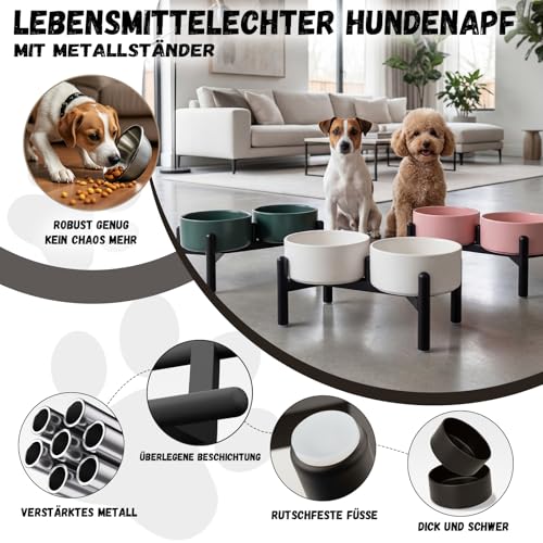 Futternapf Hund Erhöht Hundenapf Set - Doppelte Fressnapf Keramik mit Edelstahlständer - Ideal für Kleine und Mittelgroße Hunde - 660 ml x 2 - Schwarz
