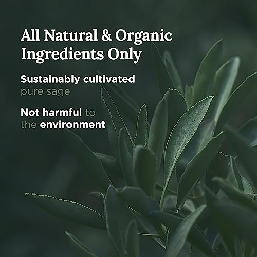 Magnificent 101 Long Lasting Pure White Sage Smudge Candle - 6 Oz - 35 Hour Burn Time | Smoke Free Candle to Cleanse Your Home & Banish Negative Energy - Image 4