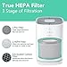 Elechomes EPI081 Air Purifier for Home with True HEPA Filter, Air Cleaner Purifiers for Allergies and Pets Smokers Pollen Dust, Odor Eliminators for Home Bedroom with Aromatherapy, 215 sq. ft