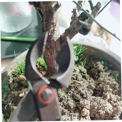 Cortador de Rama Cóncava para Bonsai 8 Pulgadas Acero miniatura 5