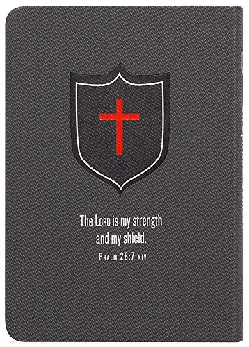 On Spiritual Combat: 30 Missions for Victorious Warfare