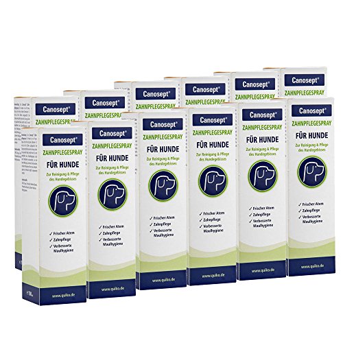 Canosept Zahnpflegespray 12 x 100ml