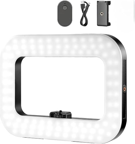 Smartphone Video Rig Ring Light, Handheld Stabilizer with 20W Bi Color LED 2500K - 8500K Square Ring Light, 3 Cold Shoes/3600mAh Battery/CRI80+ for Selfie Streaming Vlog Recording KRL-ST11.