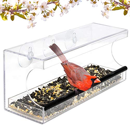 Window Bird Feeder - Transparent Acrylic Design - Wild Bird Feeder - Strong Suction Cups for Easy Outside Installation - Squirrel proof Bird Feeder for Kitchen or Living room Window