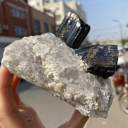 Quartz noir tourmaline pierre brute symbiotique de qualité premium - 6