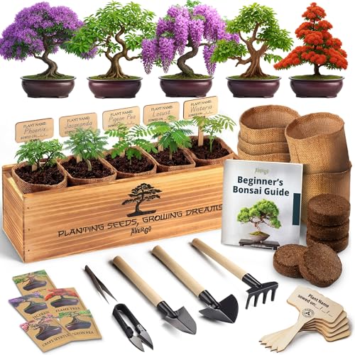 Bonsai Tree Kit for Beginners – 5X Unique Japanese Bonzai Trees, Complete Indoor Bonsai Starter Kit for Growing Bonsai Plants w/Tools & Planters – DIY Christmas Gardening Gifts for Mom
