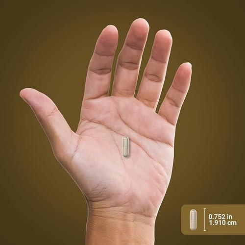 Miniatura 7 de Piping Rock Suplemento Pygeum para hombres y mujeres, 100 mg, 240 cápsulas, extracto de corteza africana, fitoesteroles ultra estandarizados, sin